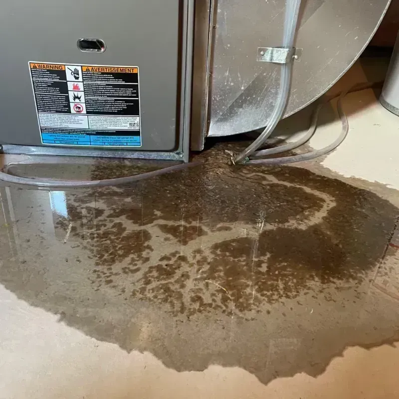 Appliance Leak Cleanup in Humble, TX